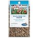 photo Partial Shade Wildflower Seeds Bulk - Open-Pollinated Wildflower Seed Mix Packet, No Fillers, Annual, Perennial Wildflower Seeds Year Round Planting - 1 oz 2024-2023