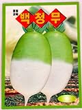 photo: You can buy Radish Seeds Korean.2 Pack(4grams-Each) online, best price $5.95 new 2024-2023 bestseller, review