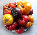 photo: You can buy This is A Mix!!! 30+ Rainbow Deluxe Tomato Seeds Mix 16 Varieties, Heirloom Non-GMO, Indeterminate, Old German, Chocolate Stripes, Ukrainian Purple, Amish Paste USA online, best price $5.69 new 2024-2023 bestseller, review