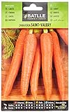 foto: comprar Zanahoria SAINT VALERY on-line, mejor precio 1,60 € nuevo 2024-2023 éxito de ventas, revisión