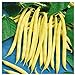 photo Everwilde Farms - 1/4 Lb Organic Golden Wax Yellow Bean Seeds - Gold Vault 2024-2023