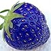 foto TOYHEART 200 Piezas De Semillas De Frutas De Primera Calidad, Semillas De Fresa, Nutritiva Y Prolífica Planta Azul, Semillas De Frutas Naturales Para Patio Azul 2024-2023