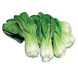 photo: You can buy Burpee Toy Choi Cabbage Seeds 200 seeds online, best price $7.23 ($0.04 / Count) new 2024-2023 bestseller, review