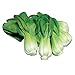 photo Burpee Toy Choi Cabbage Seeds 200 seeds 2024-2023