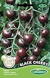 foto: jetzt Tomate Mini Black Cherry Online, bester Preis 2,21 € neu 2024-2023 Bestseller, Rezension