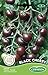foto Germisem Black Cherry Tomate 20 Semillas (EC8020) 2024-2023