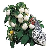 photo: You can buy Park Seed Easter Egg Plant Seeds online, best price $7.95 new 2024-2023 bestseller, review