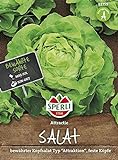 foto: jetzt 82759 Sperli Premium Kopfsalat Samen Attraktion | Zart | Große Köpfe | Kopfsalat Saatgut | Salat Saatgut | Schossfest Online, bester Preis 3,87 € neu 2024-2023 Bestseller, Rezension