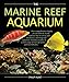 photo The Marine Reef Aquarium 2024-2023
