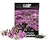 photo 1,000 Creeping Thyme Seeds for Planting - Heirloom Non-GMO Ground Cover Seeds - AKA Breckland Thyme, Mother of Thyme, Wild Thyme, Thymus Serpyllum - Purple Flowers 2024-2023