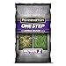 photo Pennington One Step Complete Dense Shade Bare Spot Grass Seed, 10 Pounds, White 2024-2023