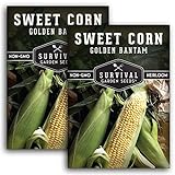 photo: You can buy Survival Garden Seeds - Golden Bantam Sweet Corn Seed for Planting - Packet with Instructions to Plant and Grow Yellow Corn on The Cob Your Home Vegetable Garden - Non-GMO Heirloom Variety - 2 Pack online, best price $7.99 ($4.00 / Count) new 2024-2023 bestseller, review