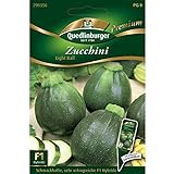 foto: jetzt Zucchini 'Eight Ball' F1, 1 Tüte Samen Online, bester Preis 4,27 € (0,36 € / stück) neu 2024-2023 Bestseller, Rezension