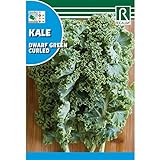 foto: comprar Semilla Col Kale - Rocalba on-line, mejor precio 6,14 € nuevo 2024-2023 éxito de ventas, revisión