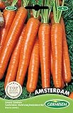 foto: comprar Germisem Amsterdam Semillas de Zanahoria 6 g on-line, mejor precio 2,21 € nuevo 2024-2023 éxito de ventas, revisión