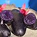 photo 00 graines de pommes de terre de chair violette à peau noire taux de germination élevé facile à faire pousser pour manipuler les plantes potagères savoureuses de jardin pour l'agriculture do Gra 2024-2023