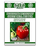 photo: You can buy Keystone Resistant Sweet Bell Pepper Seeds 150 Seeds Non-GMO online, best price $1.89 ($0.01 / Count) new 2024-2023 bestseller, review