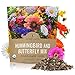 photo Wildflower Seeds Butterfly and Humming Bird Mix - Large 1 Ounce Packet 7,500+ Seeds - 23 Open Pollinated Annual and Perennial Species 2024-2023