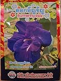 photo: You can buy Butterfly Pea Flower Seeds online, best price $6.99 ($99.15 / Ounce) new 2024-2023 bestseller, review