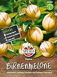 foto: jetzt 80680 Sperli Premium Birnenmelone Samen | Melonenbirne Samen | Pepino Samen | Pepino Melonenbirne Samen | Birnenmelone Pflanze | Melonenbirne Pflanze Online, bester Preis 6,77 € neu 2024-2023 Bestseller, Rezension