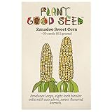 photo: You can buy Zanadoo Sweet Corn Seeds - Pack of 30, Certified Organic, Non-GMO, Open Pollinated, Untreated Vegetable Seeds for Planting – from USA online, best price $7.49 new 2024-2023 bestseller, review
