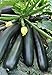 photo Seeds Zucchini Squash Black Beauty Vegetable for Planting Heirloom Non GMO 2024-2023