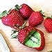 foto Samen für Pflanzen, 20 Stück gepfropfte Kiwi-Erdbeer-Samen, Bonsai, köstliche Obst-Gartenpflanzen-Dekoration – Kiwi-Erdbeer-Samen 2024-2023