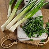 photo: You can buy David's Garden Seeds Bunching Onion Tokyo Long 1144 (White) 200 Non-GMO, Heirloom Seeds online, best price $3.95 new 2024-2023 bestseller, review