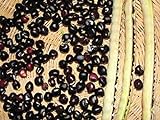 photo: You can buy Black Crowder Pea Seeds - Heavy yields of Dark Purple cowpeas!! (200 - Seeds) online, best price $14.99 new 2024-2023 bestseller, review