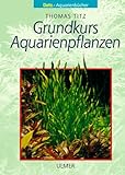 foto: jetzt Grundkurs Aquarienpflanzen Online, bester Preis 1,97 € neu 2024-2023 Bestseller, Rezension
