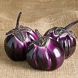photo: You can buy David's Garden Seeds Eggplant Barbarella (Purple) 25 Non-GMO, Hybrid Seeds online, best price $3.45 new 2024-2023 bestseller, review