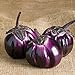 photo David's Garden Seeds Eggplant Barbarella (Purple) 25 Non-GMO, Hybrid Seeds 2024-2023