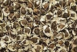foto: comprar Moringa oleifera - 20 semillas - ¡rábano picante! on-line, mejor precio 9,95 € nuevo 2024-2023 éxito de ventas, revisión