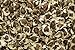 foto Moringa oleifera - 20 semillas - ¡rábano picante! 2024-2023