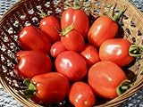 photo: You can buy 75+ Roma VFN- Heirloom Tomato Seeds online, best price $3.89 new 2024-2023 bestseller, review