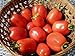 photo 75+ Roma VFN- Heirloom Tomato Seeds 2024-2023