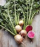 photo: You can buy Burpee Watermelon Radish Seeds 300 seeds online, best price $7.28 ($0.02 / Count) new 2024-2023 bestseller, review