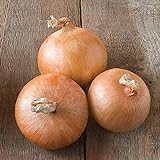 photo: You can buy David's Garden Seeds Onion Intermediate-Day Candy 2993 (Yellow) 200 Non-GMO, Hybrid Seeds online, best price $4.45 new 2024-2023 bestseller, review