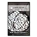 photo Sow Right Seeds - Henderson Lima Bean Seed for Planting - Non-GMO Heirloom Packet with Instructions to Plant a Home Vegetable Garden 2024-2023