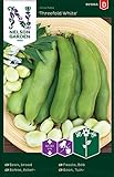 foto: jetzt Ackerbohnen Samen für Gemüsegarten - Nelson Garden Saatgut Dicke Bohnen (40 Stück) (Bohne, Acker, Einzelpackung) Online, bester Preis 3,45 € neu 2024-2023 Bestseller, Rezension