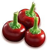 foto: jetzt Hot Chili Pfeffer Cherry Rot - Pepper - 20 Samen Online, bester Preis 1,60 € neu 2024-2023 Bestseller, Rezension