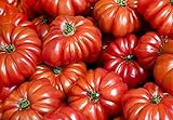 photo: You can buy 30+ Costoluto Genovese Pomodoro Tomato Seeds, Heirloom Non-GMO, Low Acid, Indeterminate, Open-Pollinated, Productive, from USA online, best price $2.65 new 2024-2023 bestseller, review
