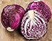 photo NIKA SEEDS - Vegetable Cabbage Purple - 150 Seeds 2024-2023