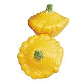 photo: You can buy Burpee Sunburst Summer Squash Seeds 25 seeds online, best price $7.73 new 2024-2023 bestseller, review