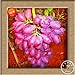 foto Neue Samen 2016!100 Samen/Beutel 12 Arten von Traubenkernen Advanced Fruit Seed Natural Growth Trauben Sweet Kyoho Gardening 2024-2023