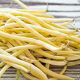 photo: You can buy Golden Wax Bush Bean Plant Seeds, 50 Heirloom Seeds Per Packet, Non GMO Seeds, (Isla's Garden Seeds), Botanical Name: Phaseolus vulgaris, 85% Germination Rates online, best price $5.99 ($0.12 / 50) new 2024-2023 bestseller, review