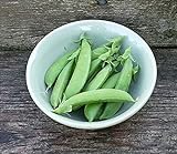 photo: You can buy Pea Seed, Sugar Snap Pea, Heirloom, Non GMO, 50 Seeds, Perfect Peas, Country Creek Acres online, best price $2.99 ($0.06 / Count) new 2024-2023 bestseller, review