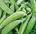 photo Pea Seed, Sugar Snap Pea, Heirloom, Non GMO, 20 Seeds, Perfect Peas, Country Creek Acres 2024-2023