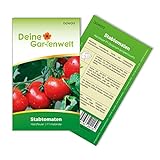 foto: jetzt Stabtomaten Harzfeuer F1 Samen - Solanum lycopersicum - Tomatensamen - Gemüsesamen - Saatgut für 15 Pflanzen Online, bester Preis 1,99 € (0,13 € / stück) neu 2024-2023 Bestseller, Rezension