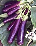 photo: You can buy Eggplant , Long Purple Eggplant Seeds, Heirloom, Non GMO, 25 Seeds, Garden Seed, Long Purple, Heirloom, Non GMO, 25+Seeds, Garden Seed online, best price $1.99 ($0.08 / Count) new 2024-2023 bestseller, review